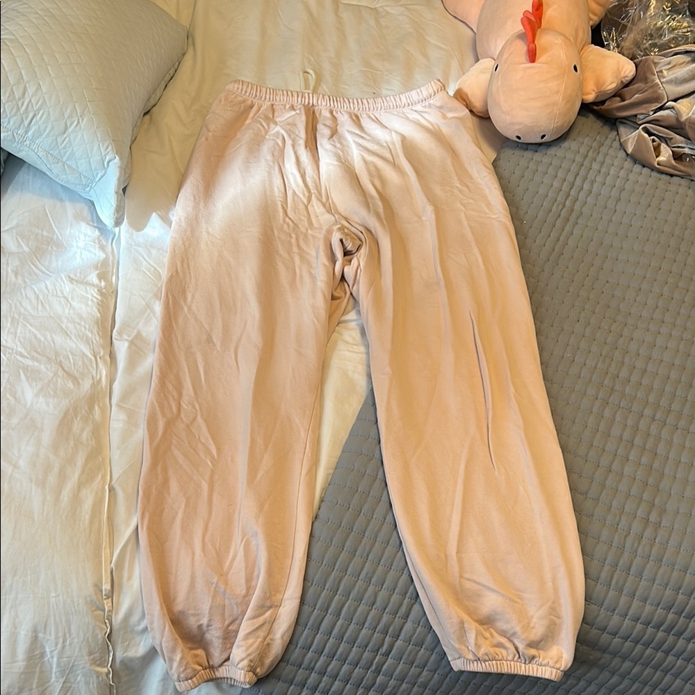 Aerie Pink Sweatpants with Elastic Waistband